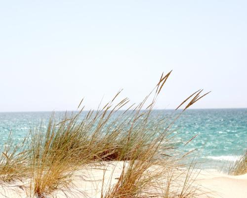 une plage avec gazon et océan en arrière-plan dans l'établissement L'Ecrin Duplex Piscine Proche Plage Palavas, à Palavas-les-Flots