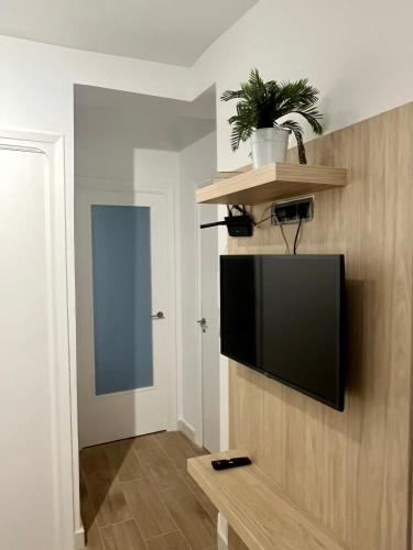 TV/trung tâm giải trí tại Apartamentos Rurales Miguela