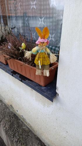 Φωτογραφία από το άλμπουμ του Chata u Petra σε Zahorčice
