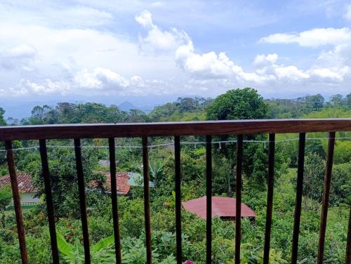 a balcony with a view of a forest at La cabaña - Finca los Martinez in Támesis