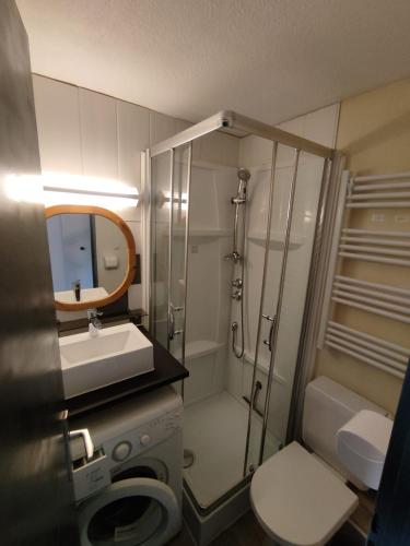 une salle de bain avec une douche, des toilettes et un lavabo dans l'établissement Le ThiCha Alpe d'Huez Gd Domaine Allemond ThiLuCha, à Allemont