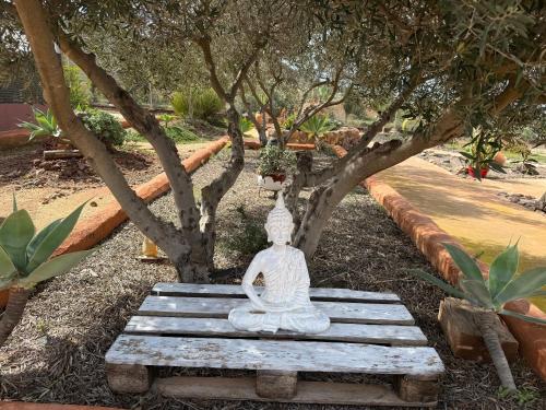 Φωτογραφία από το άλμπουμ του Olivares Rural σε Los Albaricoques