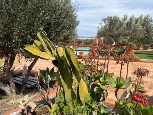 Φωτογραφία από το άλμπουμ του Olivares Rural σε Los Albaricoques