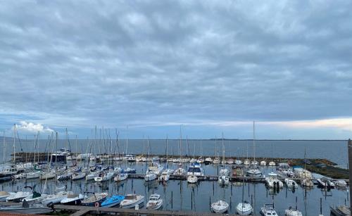 a bunch of boats docked in a harbor at un endroit de rêve in Marseillan