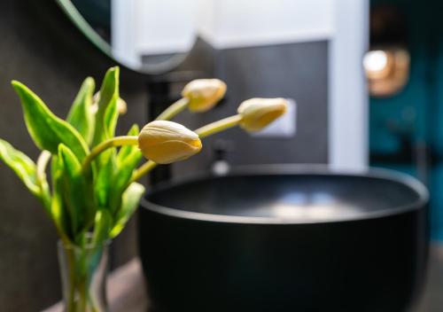 a black vase with a plant in it at Roma 20min-Elegante Loft Storico Grottaferrata in Grottaferrata