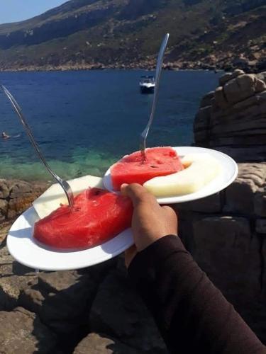 a person holding two desserts on plates with the ocean at Studio Yakina in El Haouaria