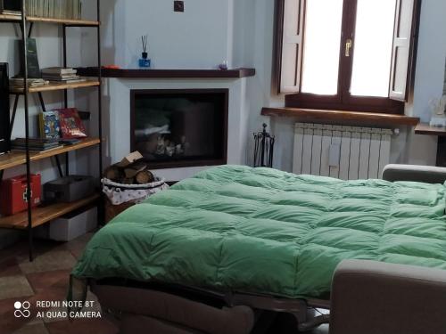 a bedroom with a green bed and a fireplace at La Casetta di Noah in Pratovecchio