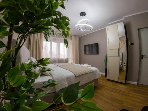 ein Schlafzimmer mit einem Bett und einer Topfpflanze in der Unterkunft Golden Light - 3BR Luxury Central in Bŭnzareto