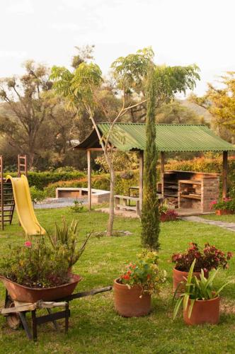 a garden with three pots of plants and a chair at Cabañas ecológicas Xuetama in Villa de Leyva