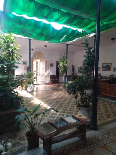 Κήπος έξω από το Casa Rosa 8