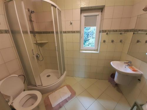 a bathroom with a toilet and a shower and a sink at Domek Pod Jawornikiem in Wetlina