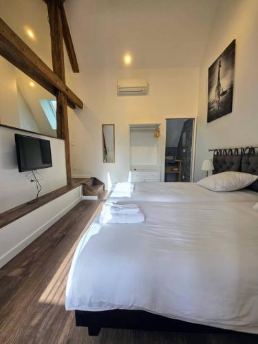 une chambre avec un grand lit blanc et une télévision dans l'établissement Robillard 5 - Séjour à Auxerre, à Auxerre