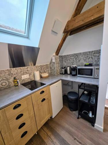 - une cuisine avec un comptoir et un four micro-ondes dans l'établissement Robillard 5 - Séjour à Auxerre, à Auxerre