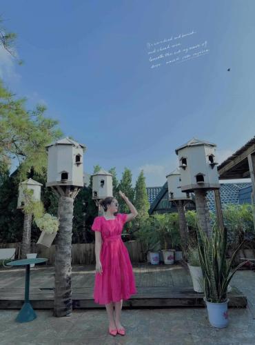 a woman in a pink dress standing between two birdhouses at Mimosa 226 - phòng săn mây in Tam Ðảo