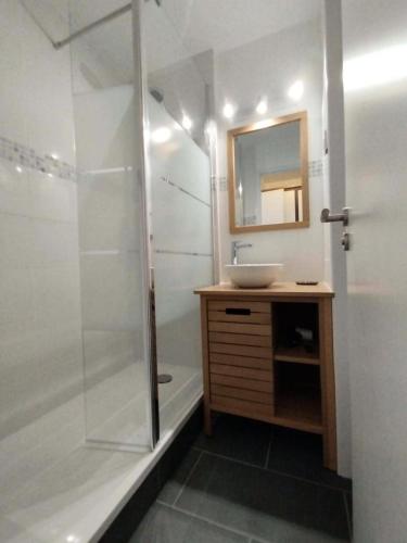 une salle de bain avec douche et lavabo dans l'établissement Résidence Port du Crouesty - maeva Home - Studio 5 Personnes - Sélection - vue Mer MAE-2901, à Arzon