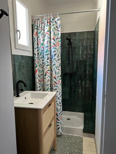 une salle de bain avec un lavabo et une douche dans l'établissement Petit bijoux, à La Tremblade