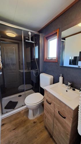 a bathroom with a toilet and a shower and a sink at Waterlodge met waterfiets op monumentaal fort in Ooltgensplaat