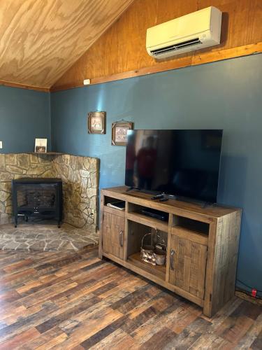 TV a/nebo společenská místnost v ubytování Springmaid Mountain Retreat & Stables