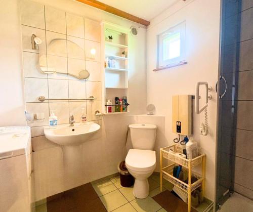 a small bathroom with a toilet and a sink at Domek nad Paklicą in Nowy Dworek