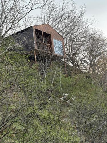 a house on top of a hill with trees at Old Byurakan Cottage in Byurakan