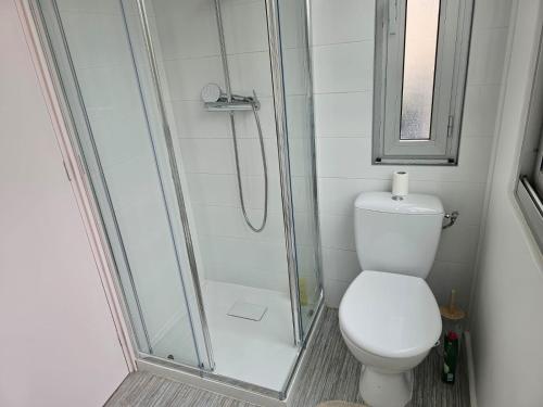 a bathroom with a toilet and a glass shower at Les sureaux, le charme du centre de perpignan in Perpignan
