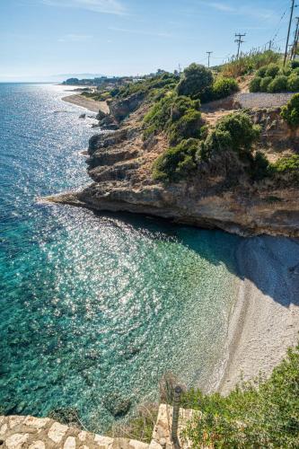 an aerial view of a beach next to the ocean at Villa Brio in Skala Kefalonias
