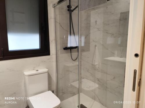 a bathroom with a glass shower with a toilet at Apartamentos Parchis 2 in Gijón