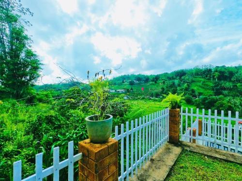 a white fence with a potted plant on it at Rose Villa by Kananke Hills in Kananke
