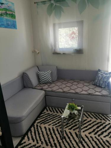 a small room with a couch and a window at Studio apartman Pepi in Stinica
