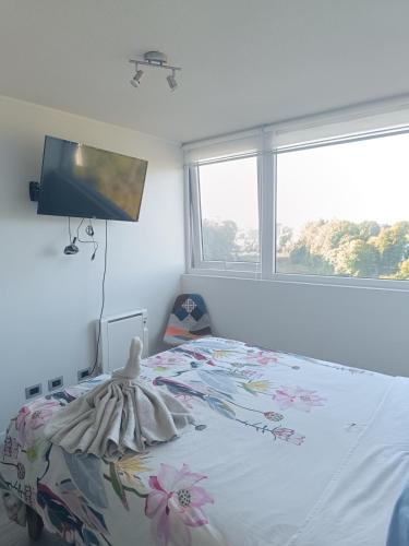 une chambre avec un lit, une télévision et une fenêtre dans l'établissement Kasa & Familia, à Valdivia