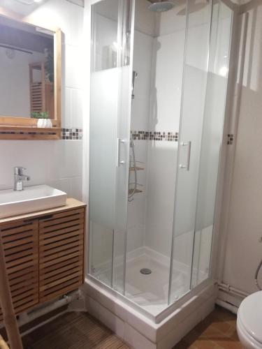 une salle de bain avec douche et lavabo dans l'établissement Bohème avec terrasse vue sur le lac, piscines, aire de jeux d'enfants, parking, commerces et animations, au Barcarès