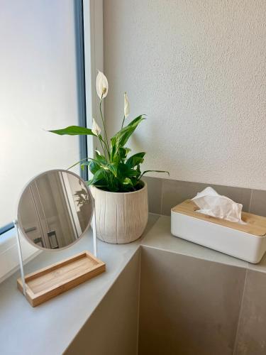 a mirror and a potted plant on a bathroom counter at Ferienwohnung RebenFREUND in Bad Neuenahr-Ahrweiler