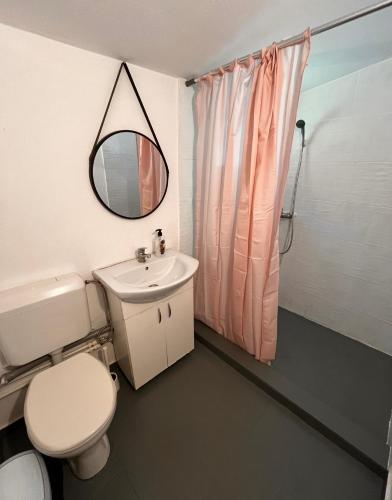 a bathroom with a toilet and a sink and a mirror at Gretas Home Surduc in Fîrdea