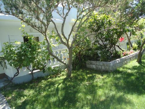 a yard with trees and grass and a fence at Sweet home in Rab
