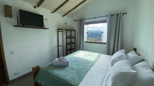 a bedroom with a bed with a television on the wall at Pousada Verde Serena SFX in São Francisco Xavier