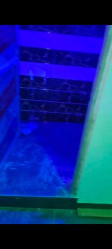 a close up of a laptop computer with blue lights at Triveni hotel in Shāhpura