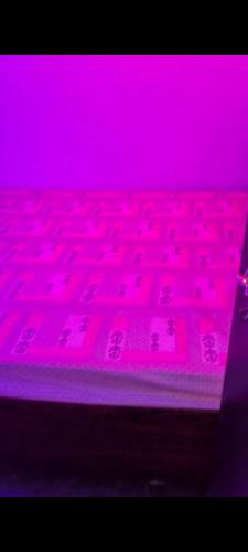 a purple room with a floor covered in pink lights at Triveni hotel in Shāhpura