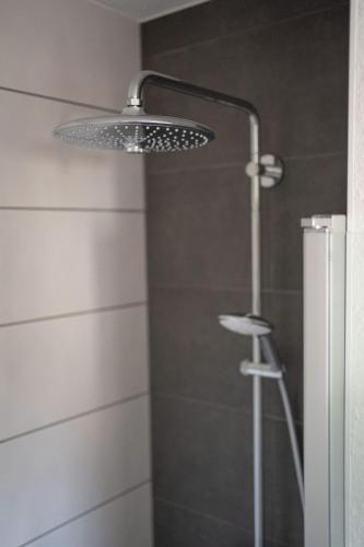 a shower with a shower head in a bathroom at Gemütliches Ferienhaus "Glück" mit Gartensauna - Ideal für Familien & Paare in Ziegenrück