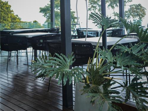 a patio with tables and chairs and potted plants at La Cima Eco Hotel in Buenavista