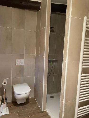 une salle de bain avec toilettes et douche dans l'établissement Entre REDARES et SALENDRINQUE, à Lasalle