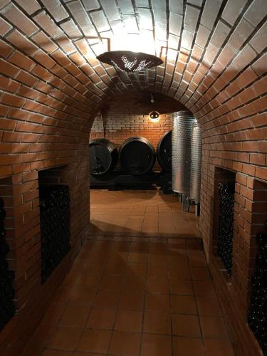 a tunnel in a wine cellar with a brick wall at Zidanica Jakec in Podlehnik