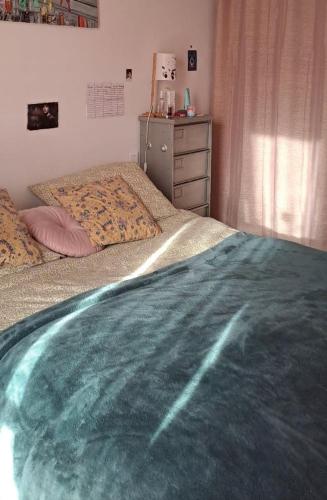 une chambre avec deux lits jumeaux et une commode dans l'établissement Charmant cosy T3, à Ajaccio