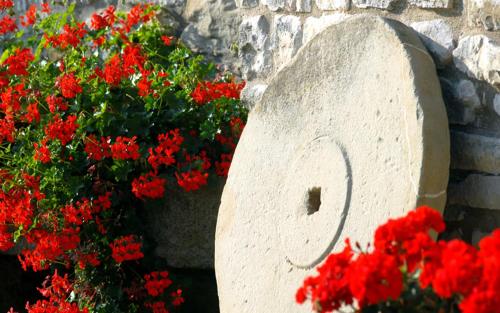 Fotografie z fotogalerie ubytování Bioagriturismo Chignoni v destinaci Apecchio