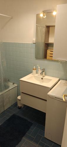 une salle de bain avec un lavabo, des toilettes et un miroir dans l'établissement Appartement pieds dans l eau, à Ajaccio