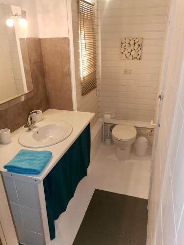 une salle de bain avec un lavabo et des toilettes dans l'établissement Aux portes de l'océan, à Labenne