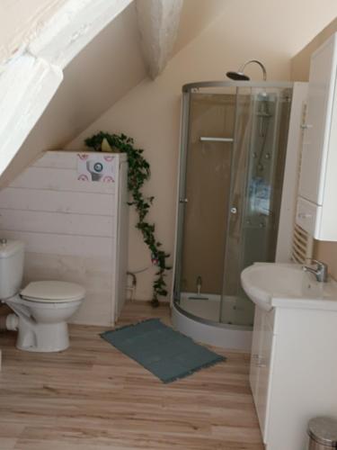 une salle de bain avec une douche, des toilettes et un lavabo dans l'établissement Duplex dans belle propriété avec piscine, à Les Essarts-le-Roi
