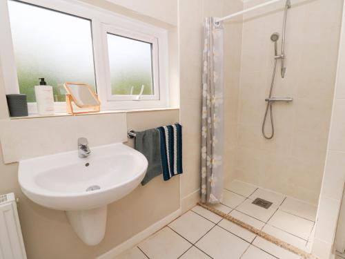 a bathroom with a sink and a shower at Dinefwr Cottage in Carmarthen