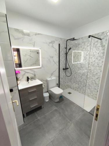 a bathroom with a shower and a toilet and a sink at BRISAS DEL MAR Eddy,,AIR,WIFI in Candelaria