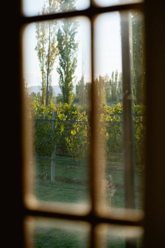Κήπος έξω από το Posada La Victoria