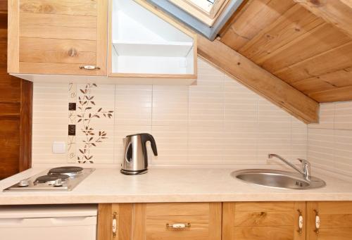 a small kitchen with a sink and a sink at Apartments Pegaz in Virpazar